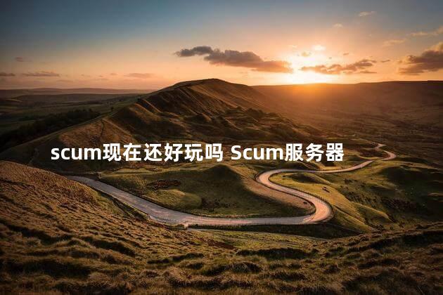 scum现在还好玩吗 Scum服务器